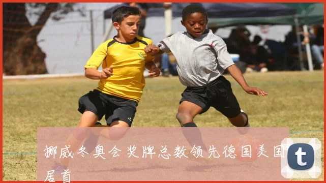 挪威冬奥会奖牌总数领先德国美国居首