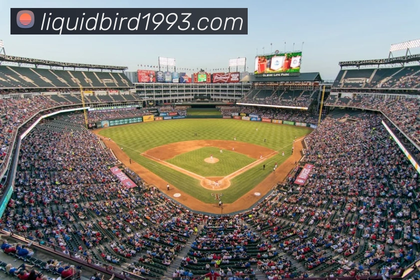 lejing乐竞体育平台生态图