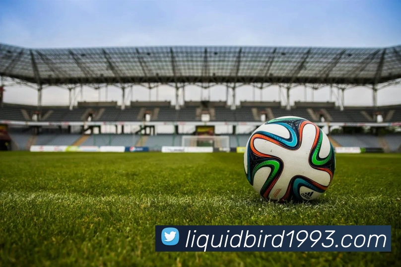 lejing乐竞体育APP 封面图